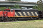 CN 5505 on NB coal train
